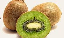 猕猴桃最新爆料视频大全,最新品种与种植技术大曝光