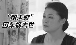 娱乐圈圈吃瓜群众是谁呀,揭秘“吃瓜群众”背后的神秘人物