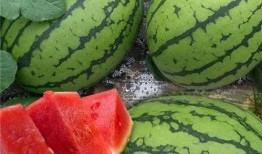 国内最大免费吃瓜平台,海量资讯，畅享娱乐盛宴